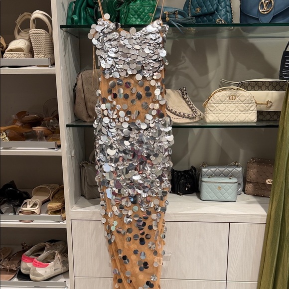 Retrofete Dresses & Skirts - Retrofete Silver Sequin Nude Tulle Maxi Dress
